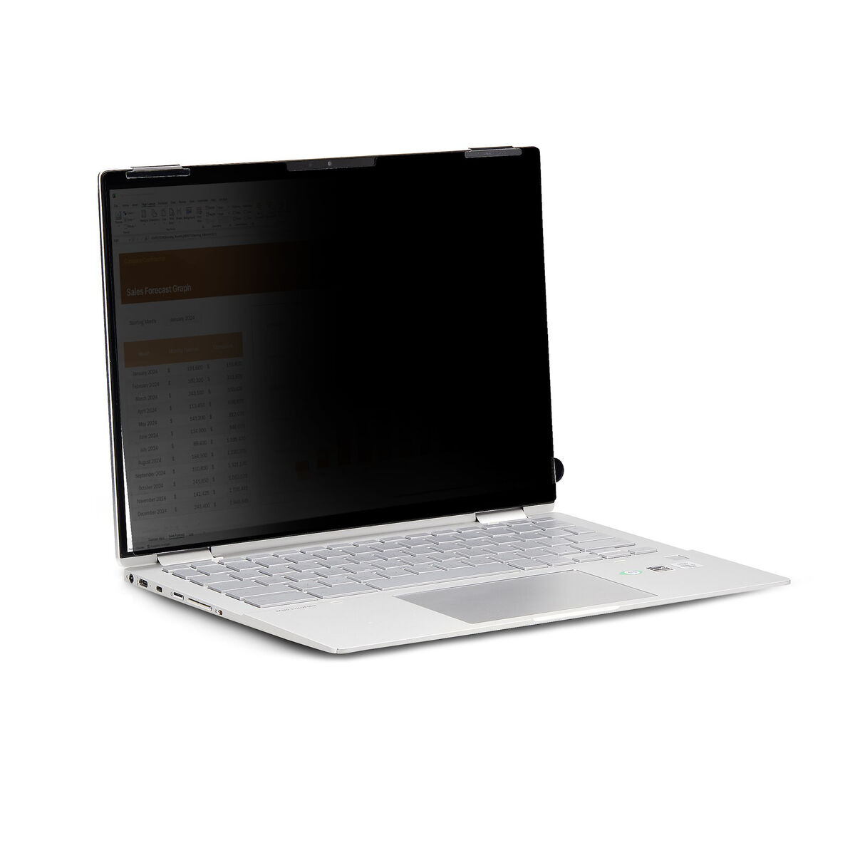 Cable HDMI Startech 14LT-PRIVACY-SCREEN Negro