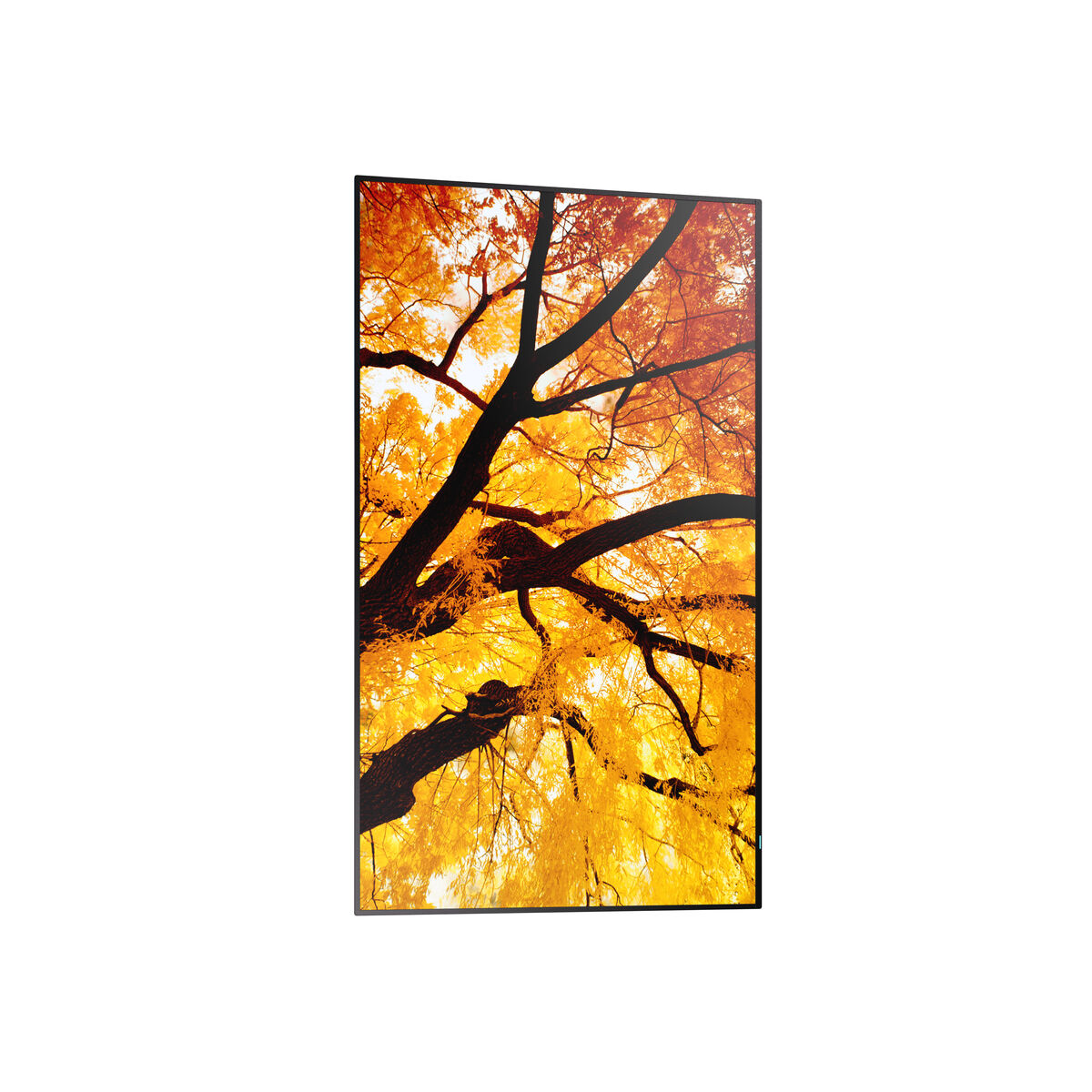 Monitor Videowall Sharp 60006052 Full HD 32"