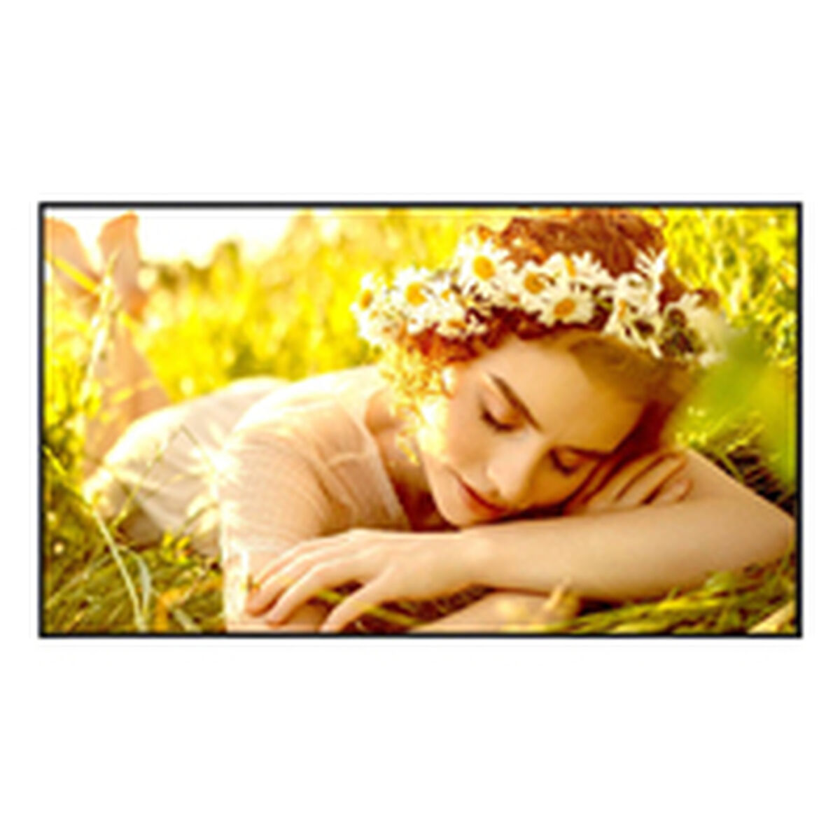 Monitor Videowall LG 43UL5Q-E.AEUQ 4K Ultra HD 43"