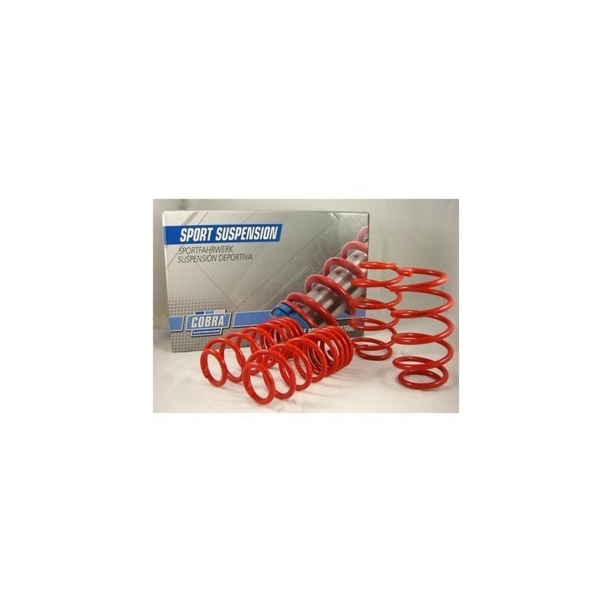 Kit de Muelles Cobra COB002689