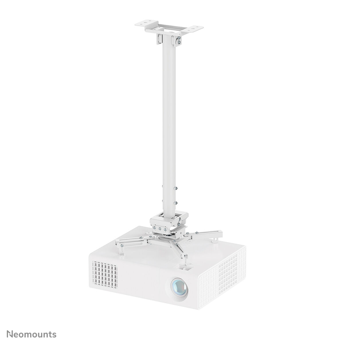Soporte de Mesa para Pantalla Neomounts CL25-550WH1