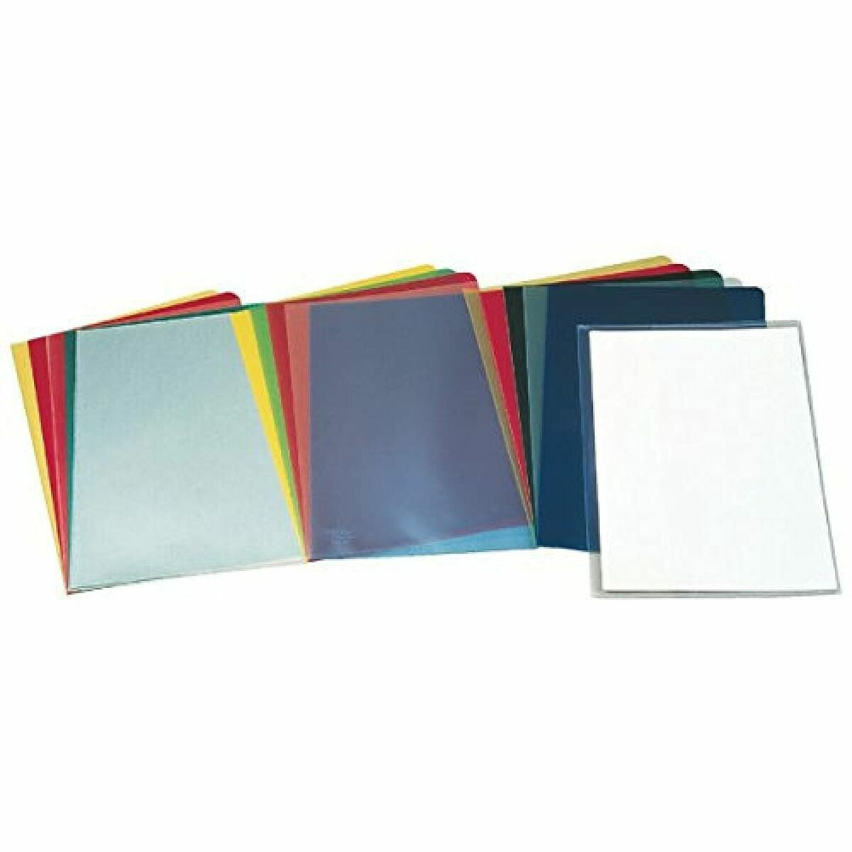 Carpeta Clasificadora Esselte Transparente Folio