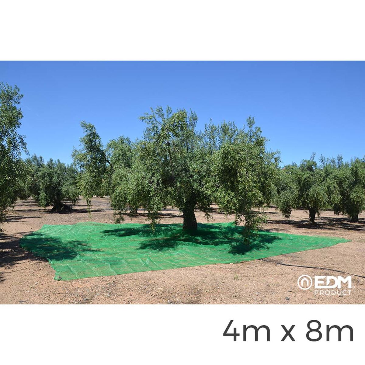 Malla EDM Recogedor de frutas Verde Polipropileno 4 x 8 m